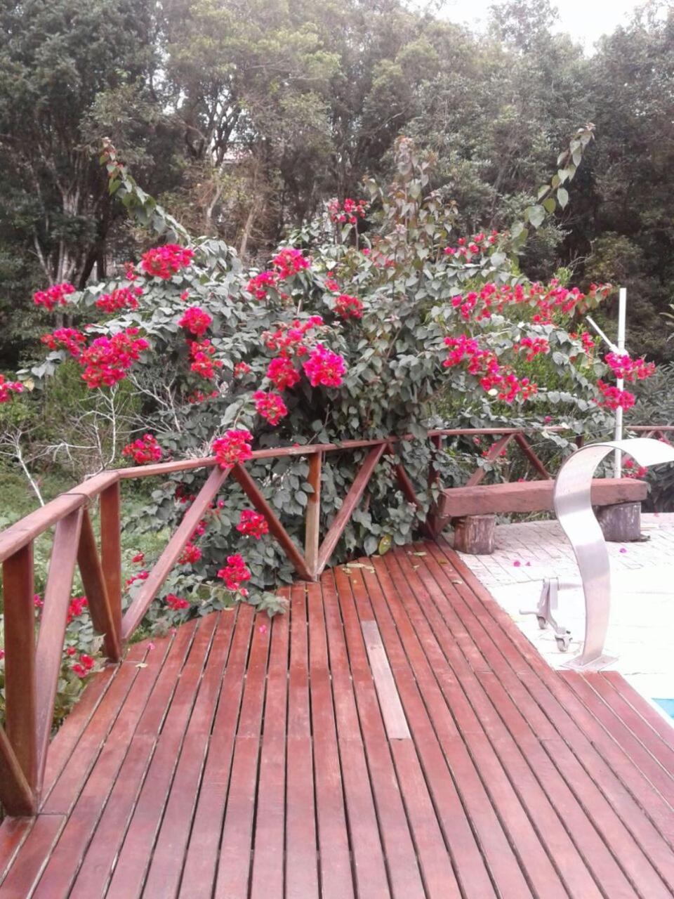 Chacara Recanto Vale Do Luar Piraquara Buitenkant foto